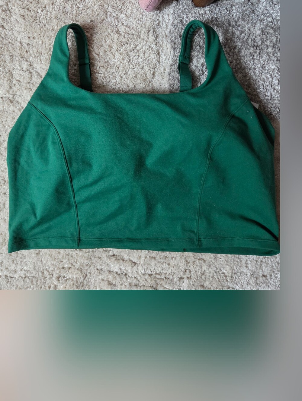 aerie Emerald Green Sports Bra